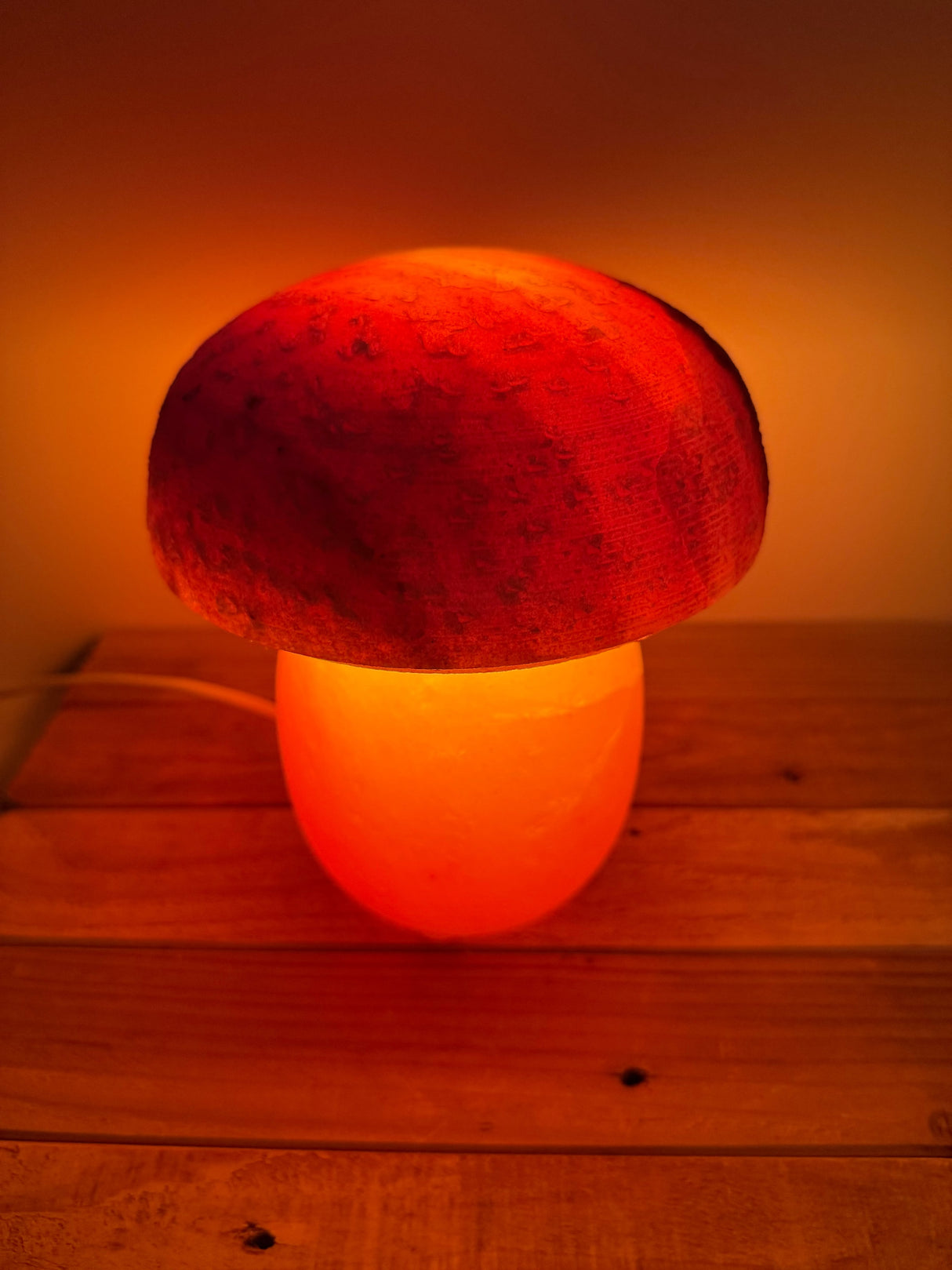 Himalaya-Salzlampe – Muschel mit Perle