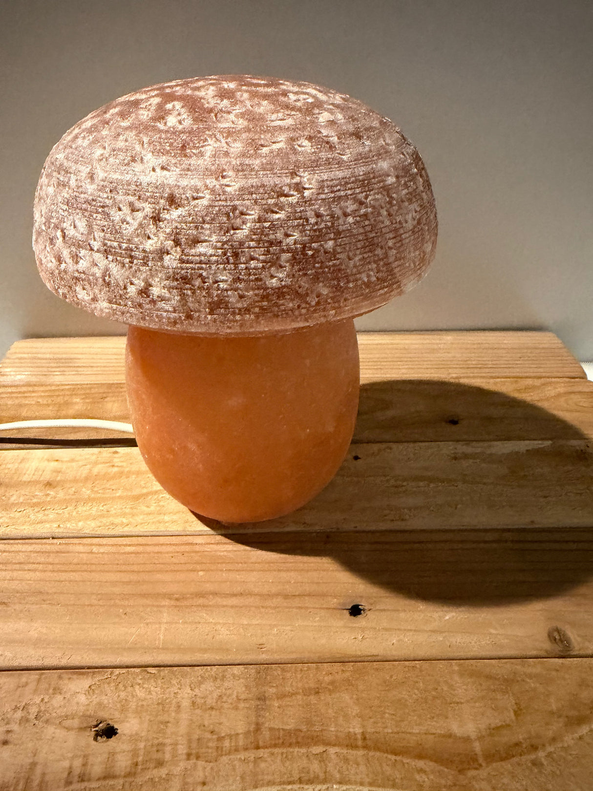 Himalaya-Salzlampe – Muschel mit Perle