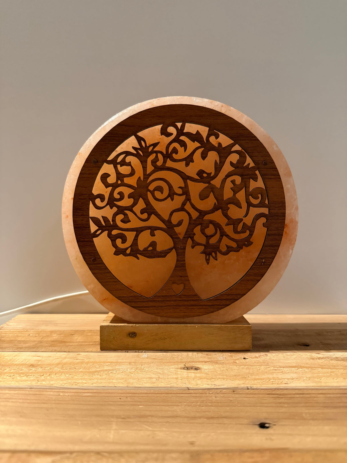 Himalaya-Salzlampe – Muschel mit Perle