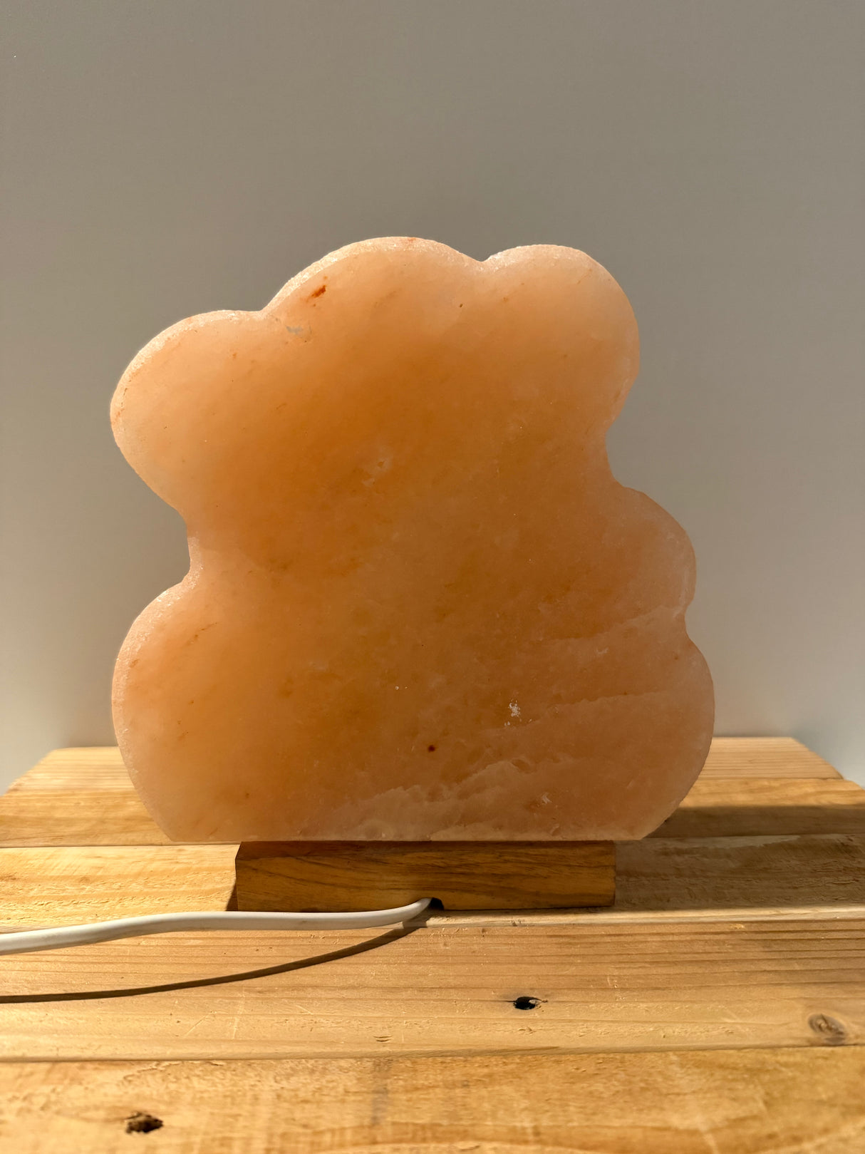 Himalaya-Salzlampe – Muschel mit Perle