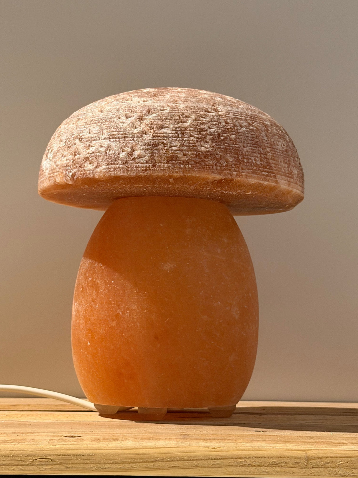 Himalaya-Salzlampe – Muschel mit Perle