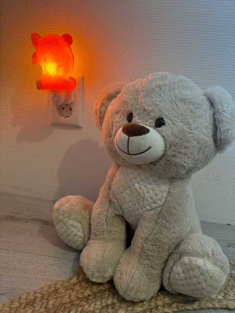 Schattig dolfijn zoutlamp-nachtlampje met warm licht en pinfix stekker, ideaal voor rust en een zuivere slaapkamer