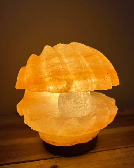 Schelp met Parel Himalaya zoutlamp, warm oranje gloeiend, 3.5 kg