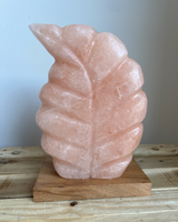 Blad Himalaya zoutlamp, natuurlijke roze tint, 4.0 kg