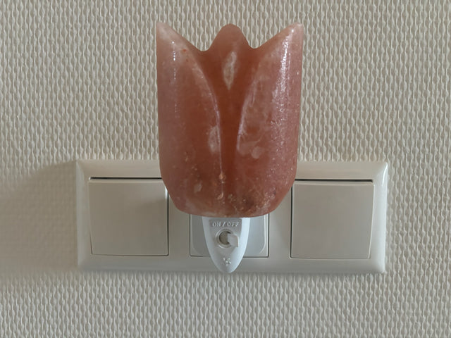 Compact Himalaya zoutlamp-nachtlampje met warm licht en pinfix stekker, ideaal voor een kalme, gezonde nachtrust.
