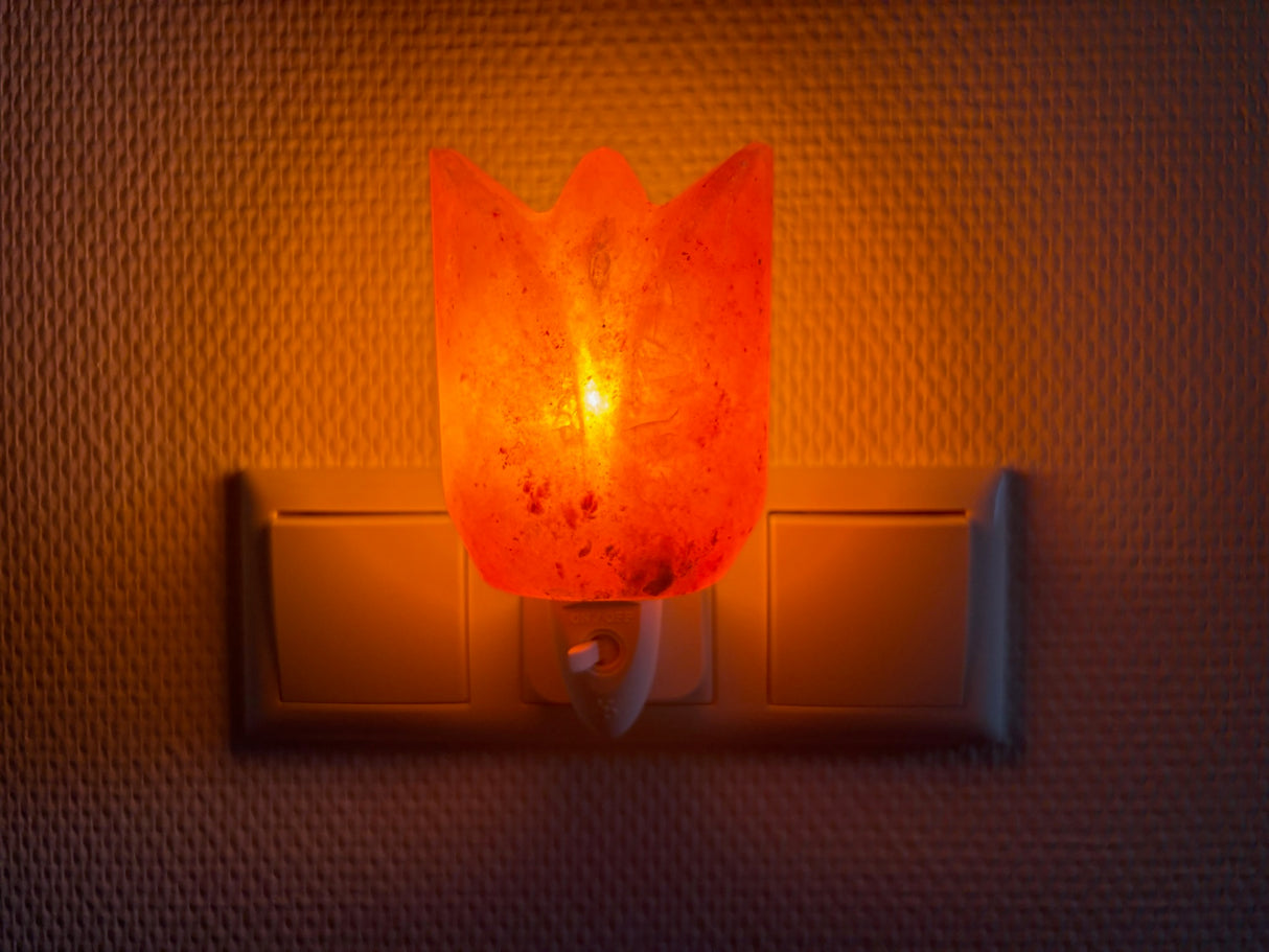 Compact Himalaya zoutlamp-nachtlampje met warm licht en pinfix stekker, ideaal voor een kalme, gezonde nachtrust