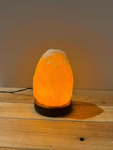 Himalaya Zoutsteen USB lampje roze natuurlijke vorm compact met schakelaar en reservelampje