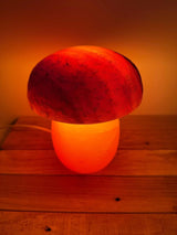 Himalaya zoutlamp paddenstoelvorm met roze stam en rode top inclusief kabel en reservelampje