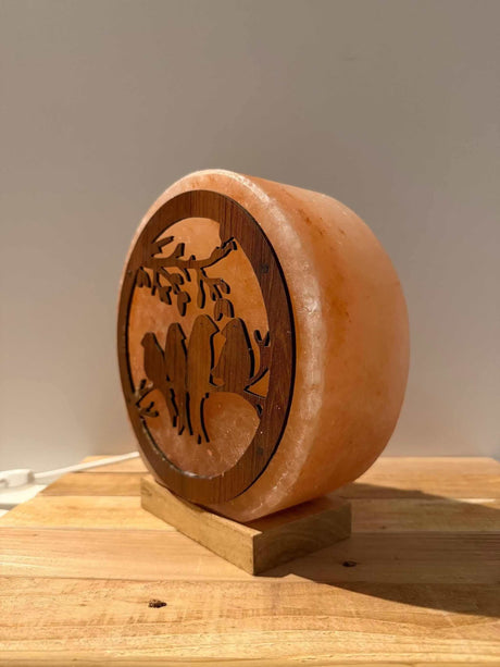 Handgemaakte Himalaya zoutlamp in 3D vogelvorm met warm licht en houten voet.